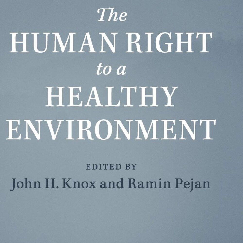 The Human Right to a Healthy Environment by John H. Knox English Hardcover Book